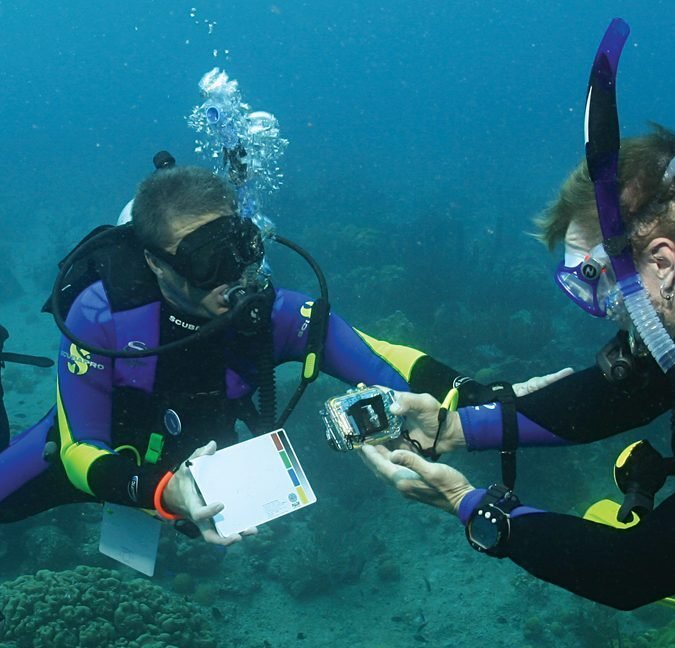Corso Orientamento subacqueo 2 Impara ad immergerti. Visita i fondali marini. Diventa un professionista subacqueo
