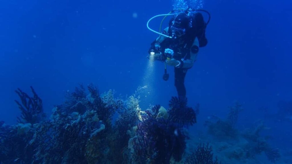 Corso Deep Diver 4 Corso Deep Diver