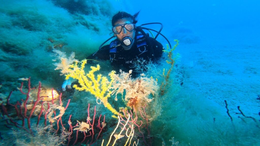 Corso Deep Diver 3 Corso Deep Diver