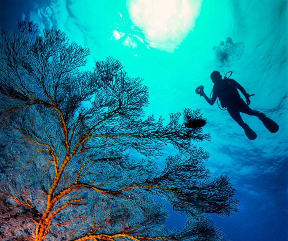 Corso Deep Diver 5 Corso Deep Diver