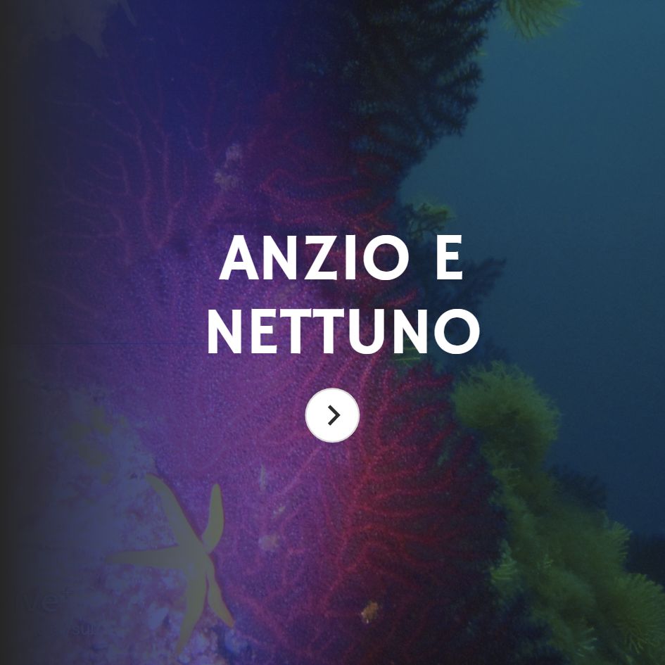 Immersioni Subacquee Lazio