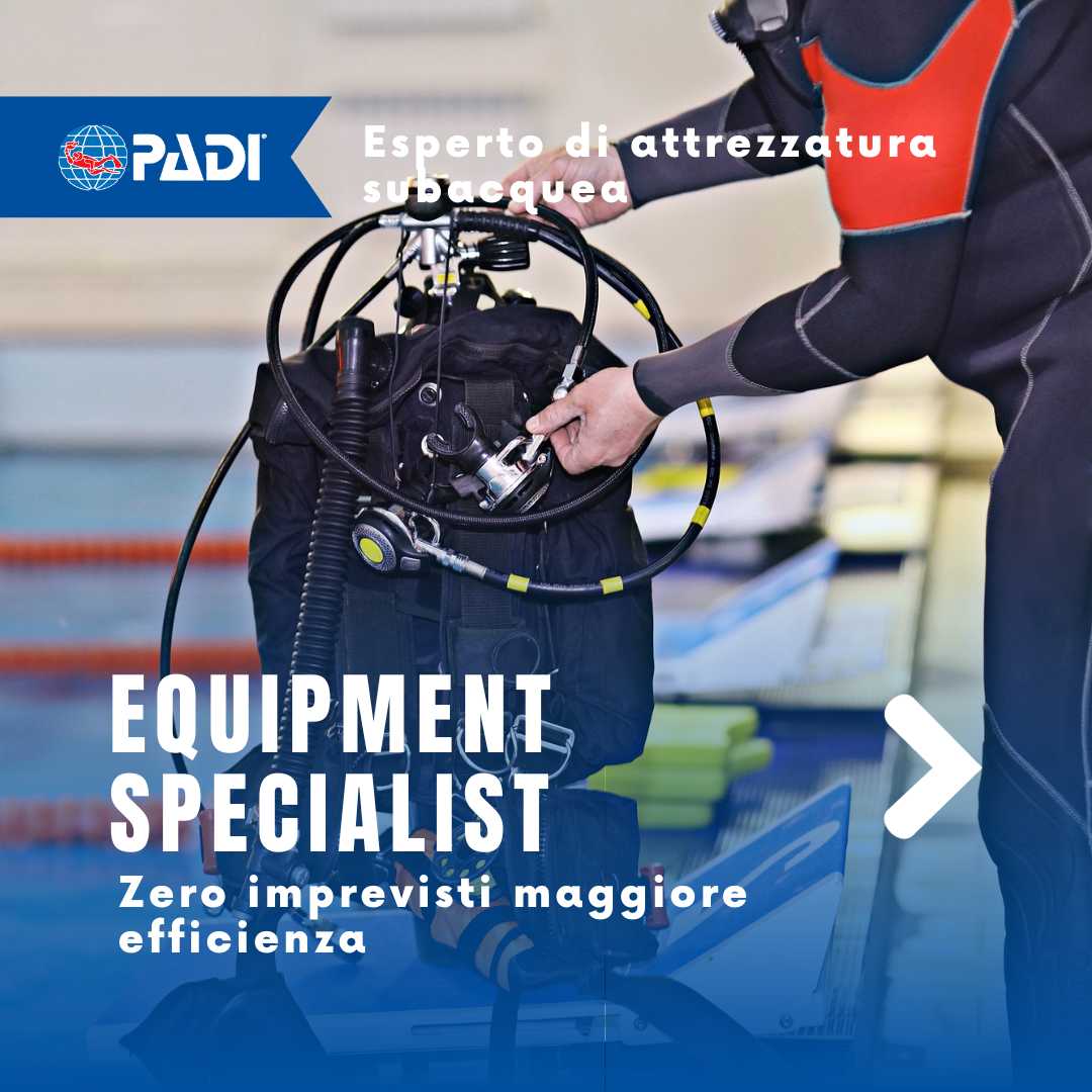 Equipment Diver Esperto di attrezzatura subacquea 1 Equipment Diver Esperto di attrezzatura subacquea