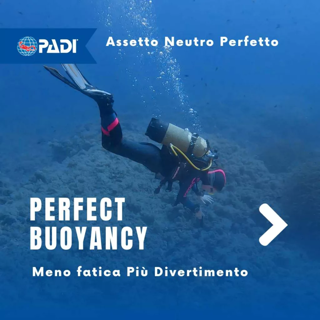 Corso assetto neutro perfetto 1 Corso assetto neutro perfetto