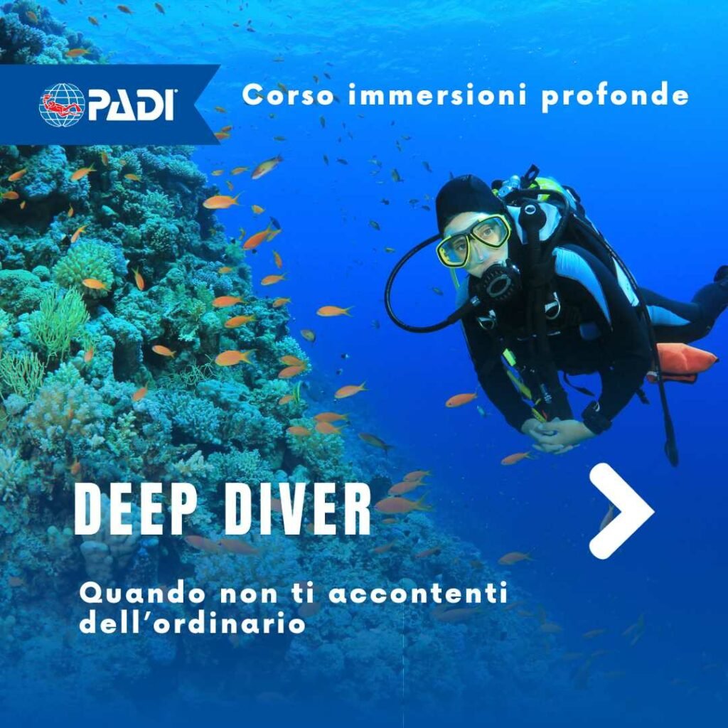 Corsi subacquei di Specialità Padi