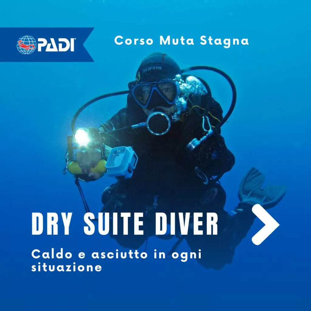 Corsi subacquei di Specialità Padi