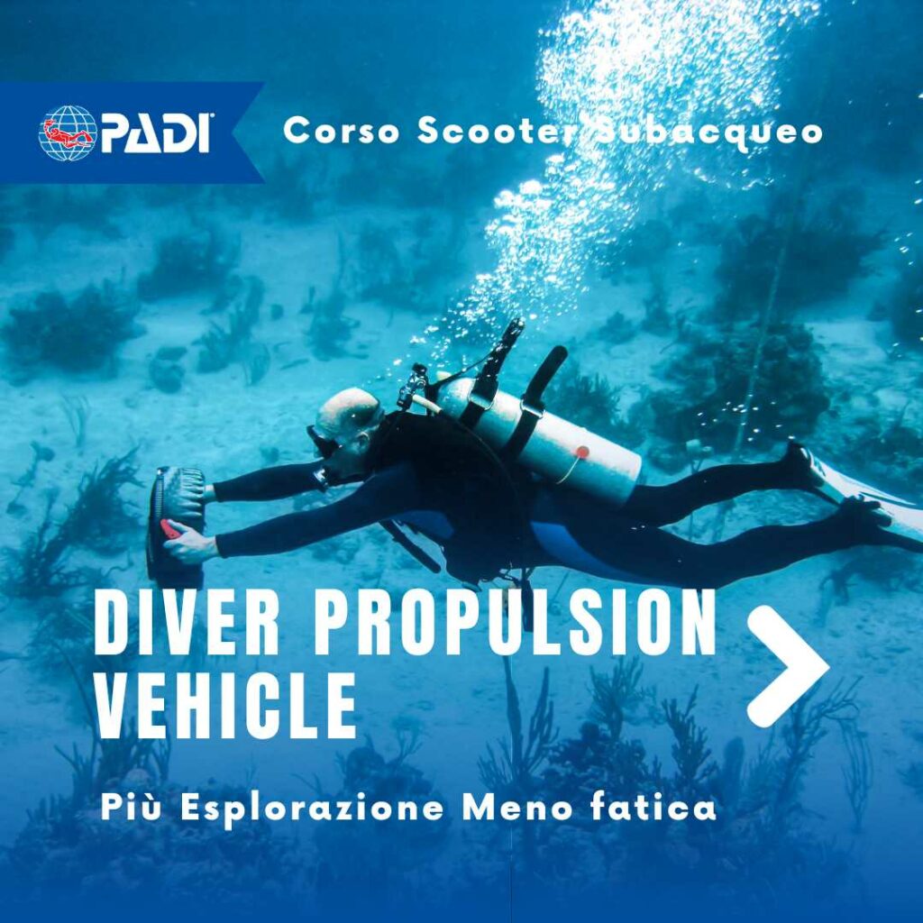 Corsi subacquei di Specialità Padi