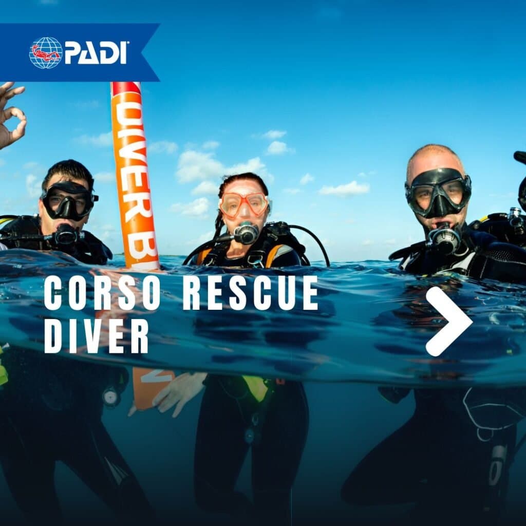 rescue blsd first aid form