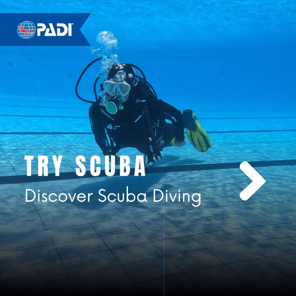 Form Try Scuba coppia